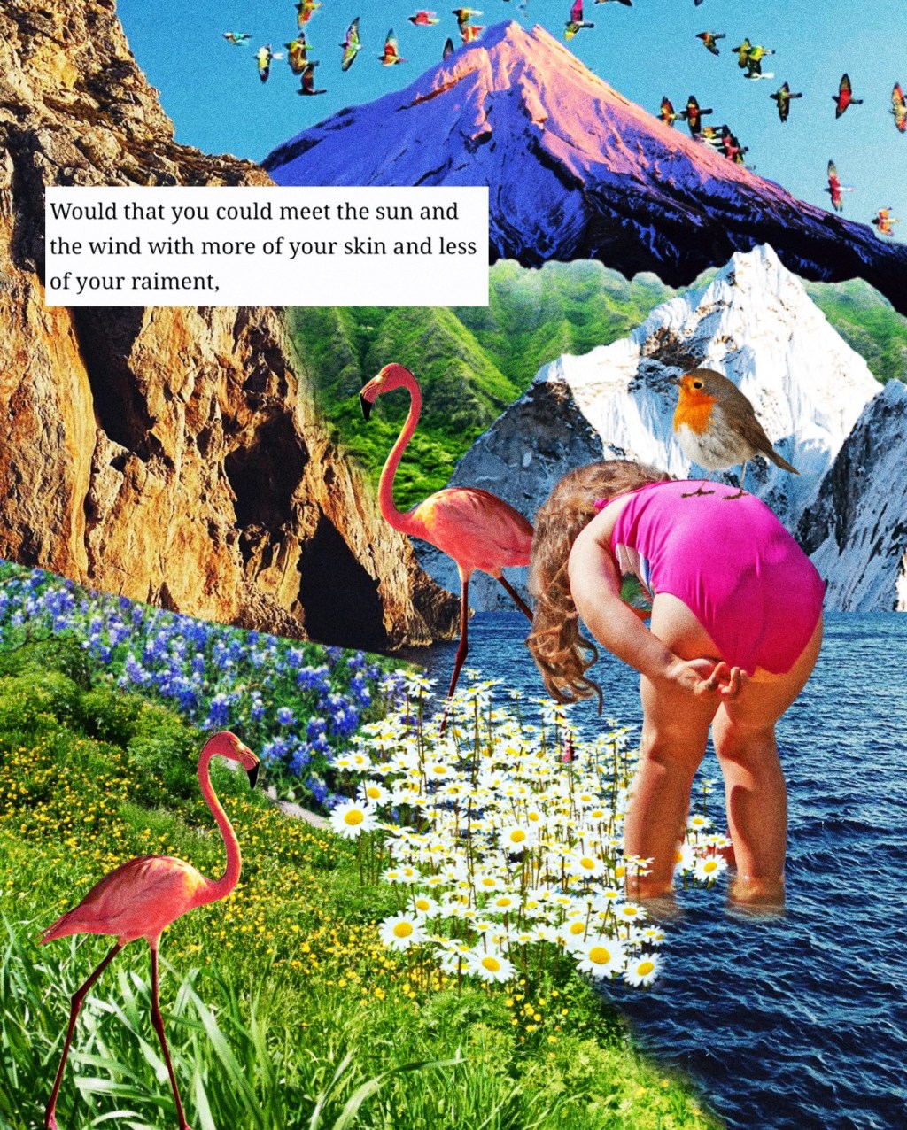 A Wild Girls Field Notes and Steps on Finding&nbsp;Freedom