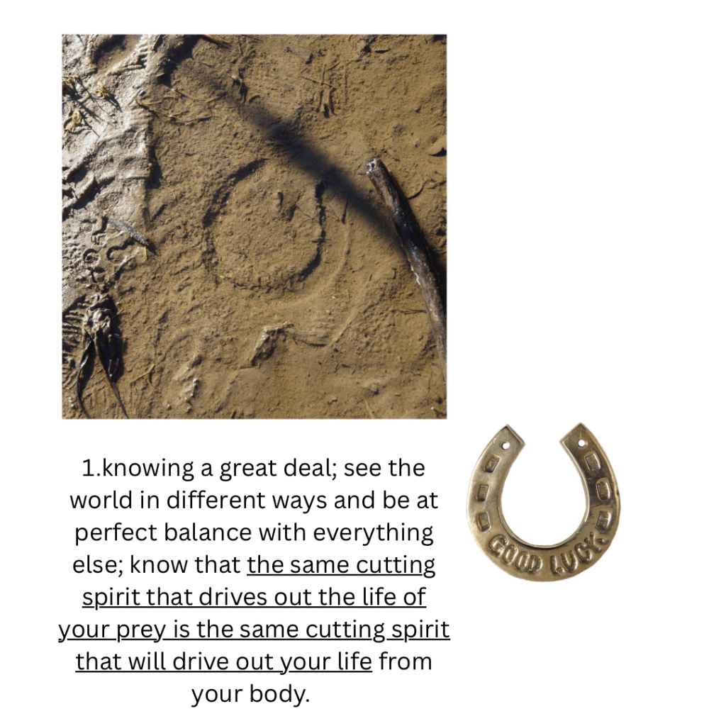 knowing a great deal; seeing the world in different ways and being at perfect balance with everything else; you know that the same cutting spirit that drives out the life of your prey is the same cutting spirit that will drive out your life from your body.