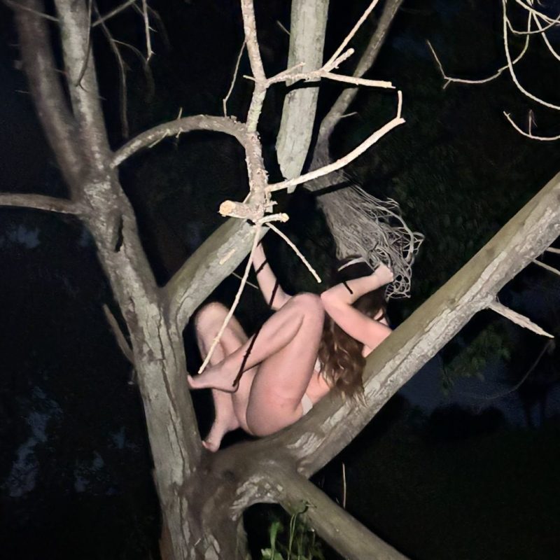 {Gallery} Byrd/Bug 2026