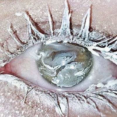 collecting the winter&nbsp;self