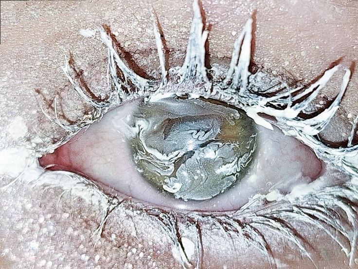 collecting the winter&nbsp;self